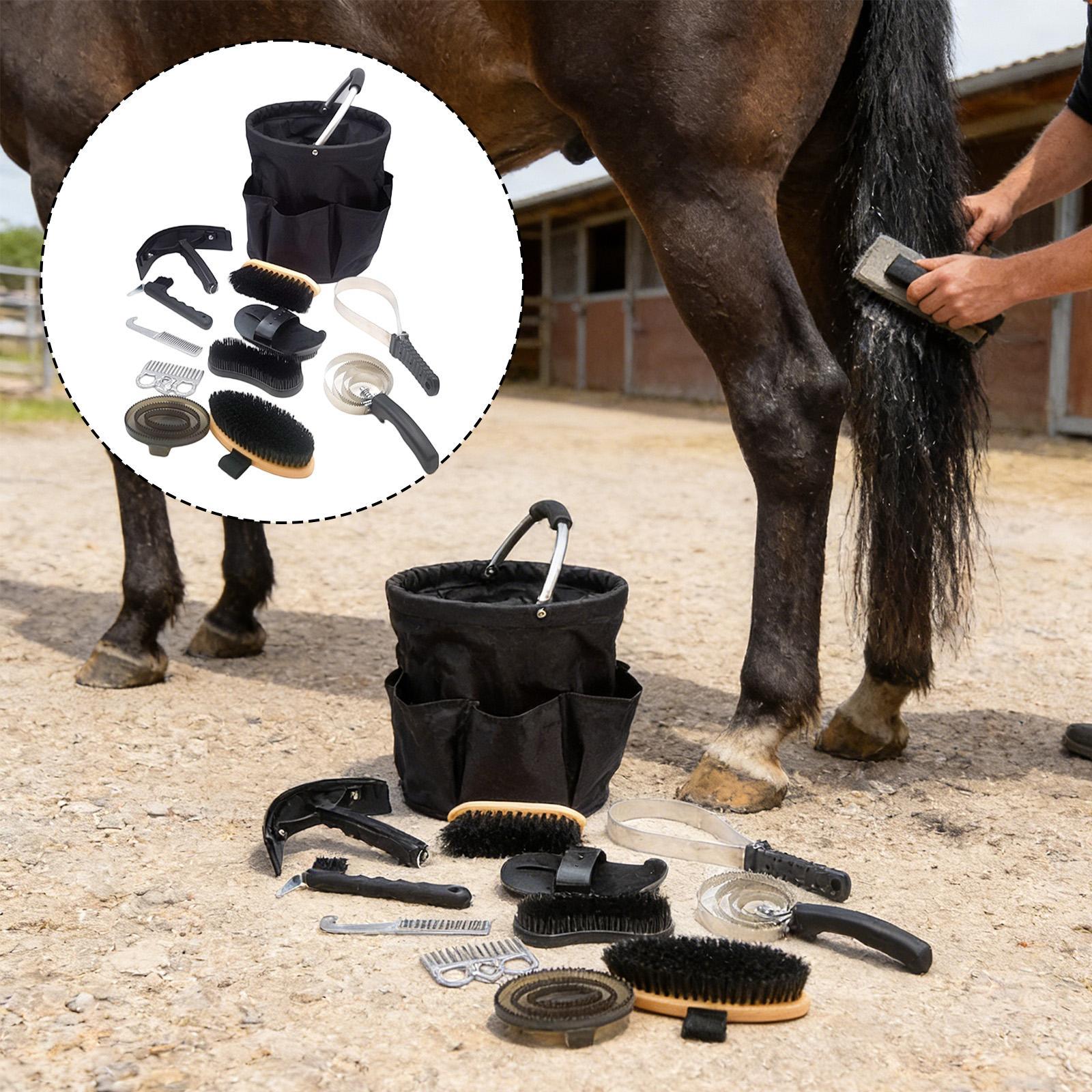 Horse Grooming Kit Full Horses - đánh giá và giá Grooming Kit Horse