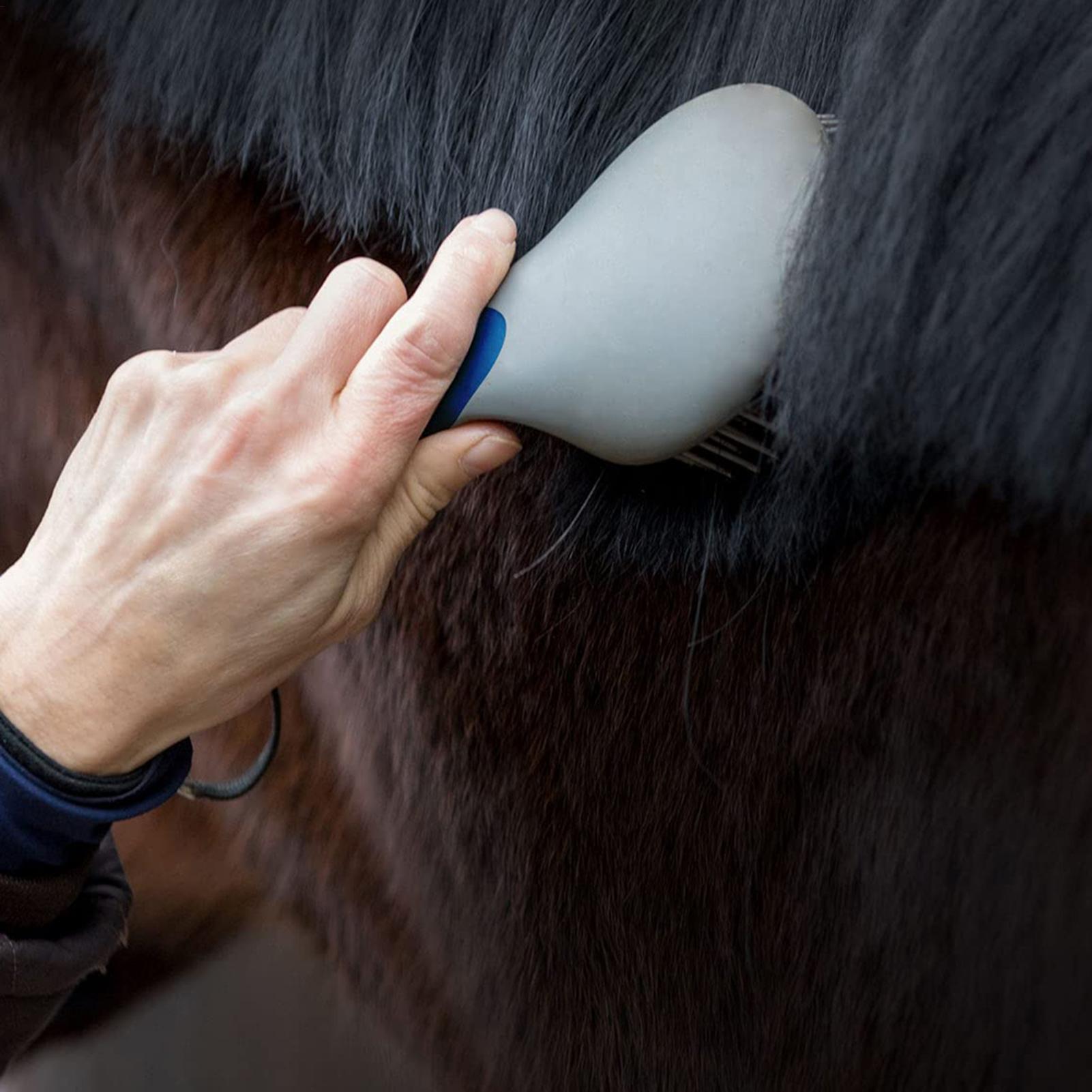 Horse Brushes for Grooming Pro - đánh giá và giá Grooming Kit Horse