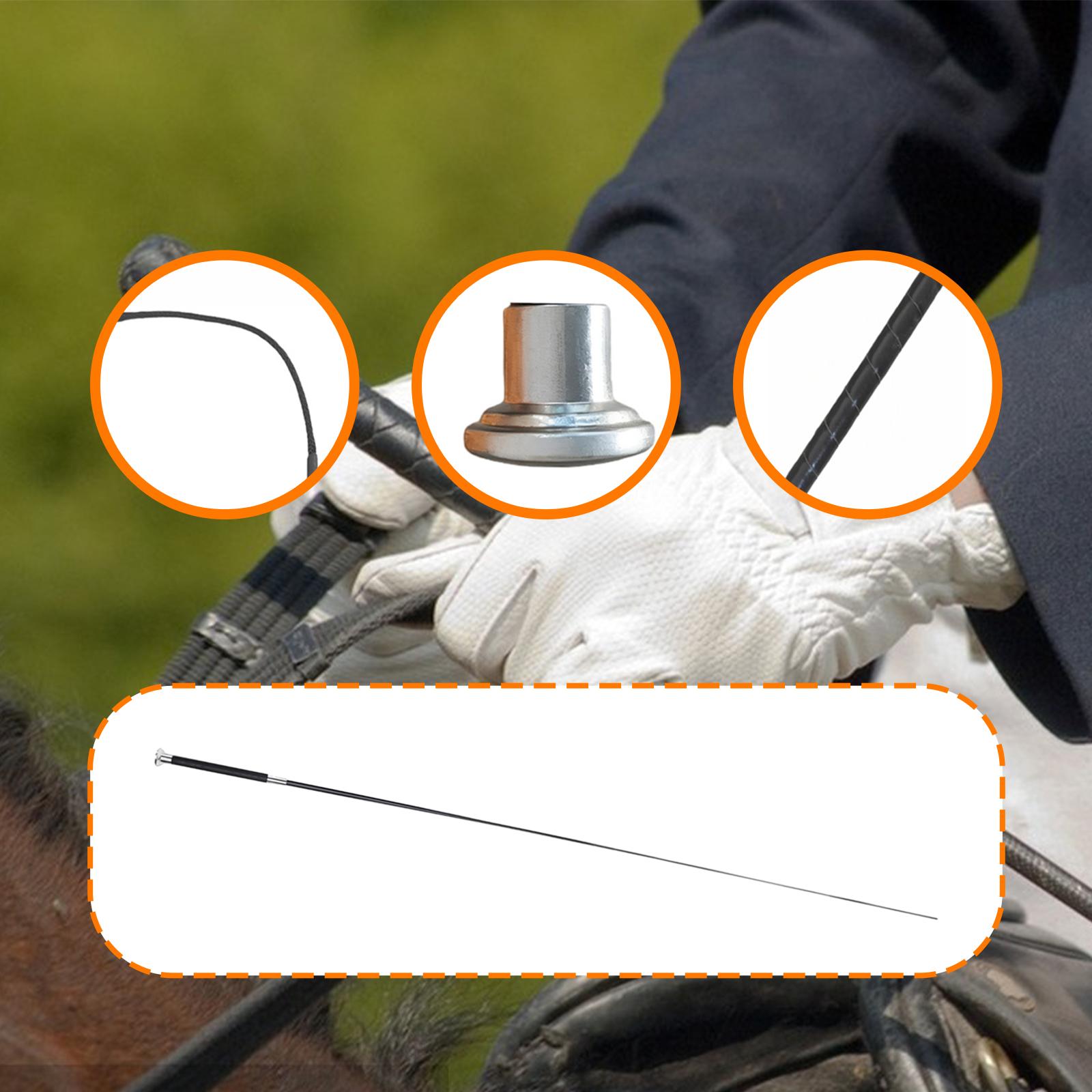 Versatile Riding Crop Metal Ny - đánh giá và giá Riding Crop Dressage