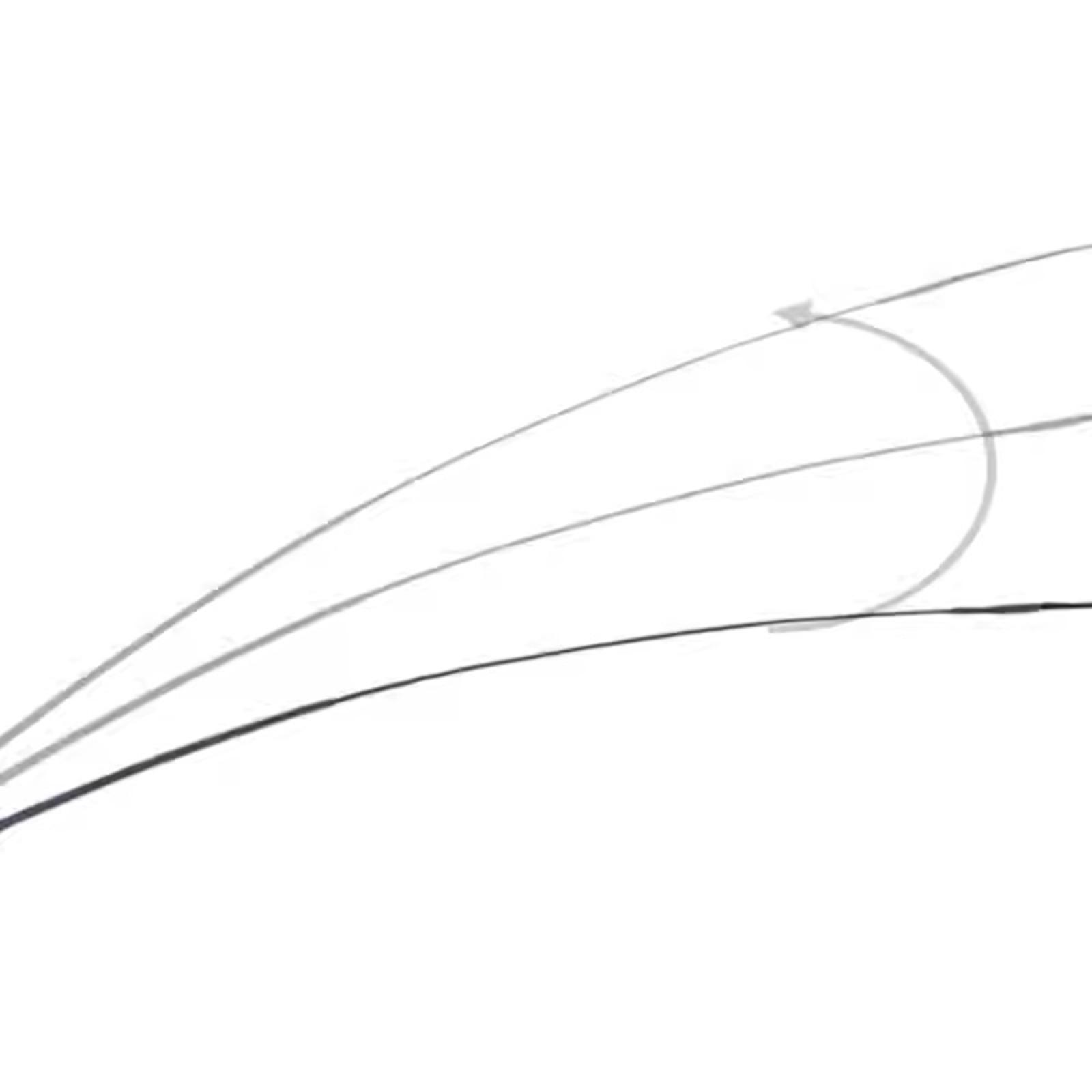 Versatile Riding Crop Metal Ny - đánh giá và giá Riding Crop Dressage