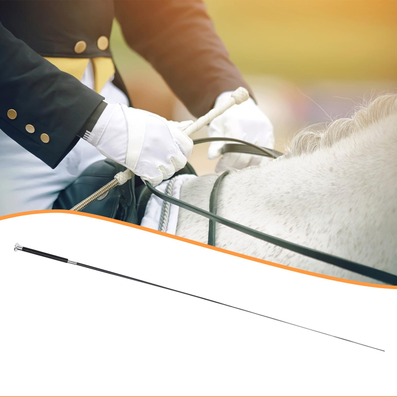 Equestrian Riding Crop Telesco - đánh giá và giá Riding Crop Dressage